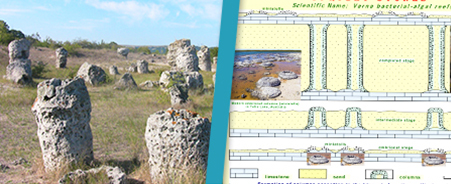 GEOLOGICAL PHENOMENA-UPRIGHT STONES GEOLOGICAL PHENOMENA-UPRIGHT STONES